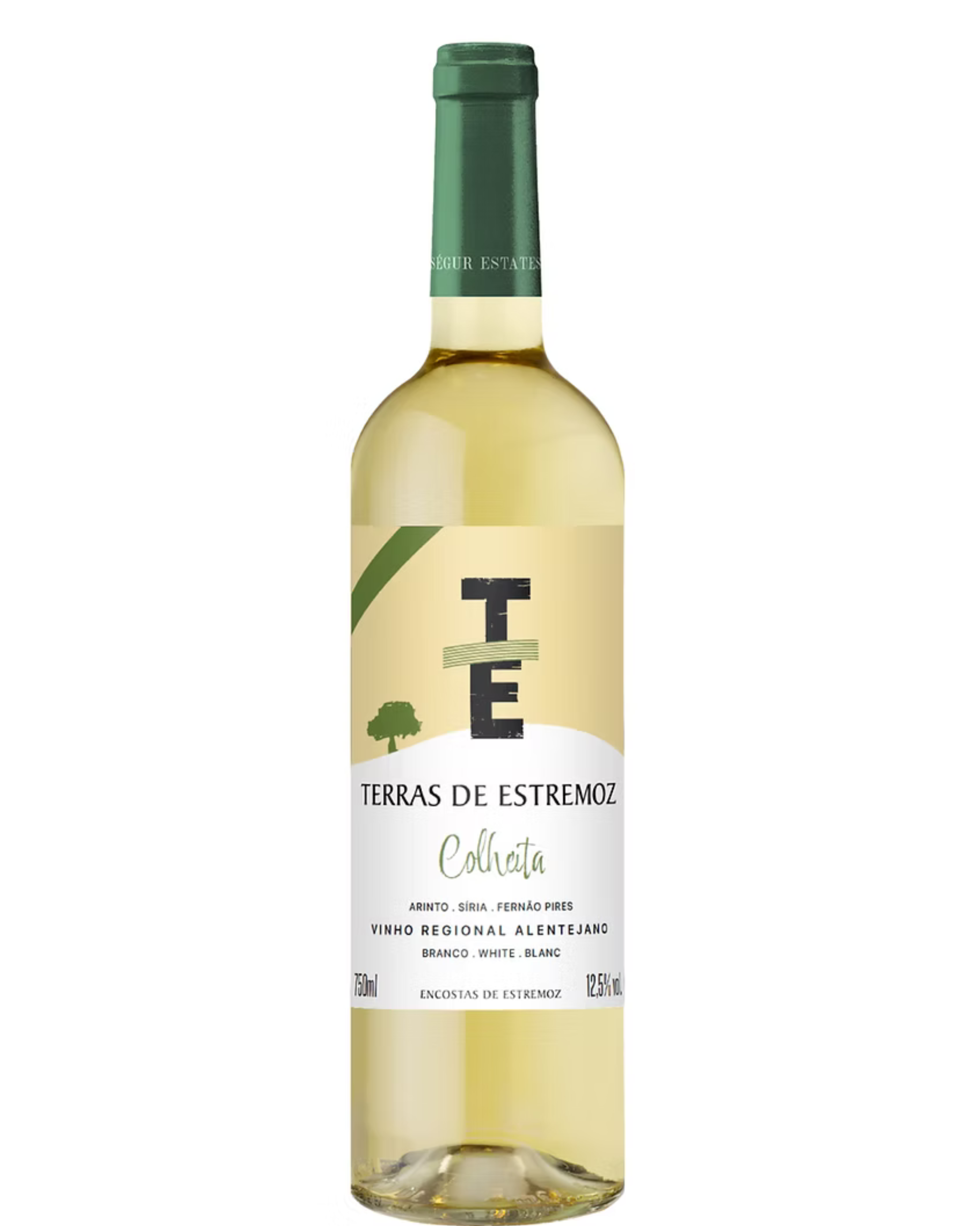 Terras de Estremoz White Wine Harvest