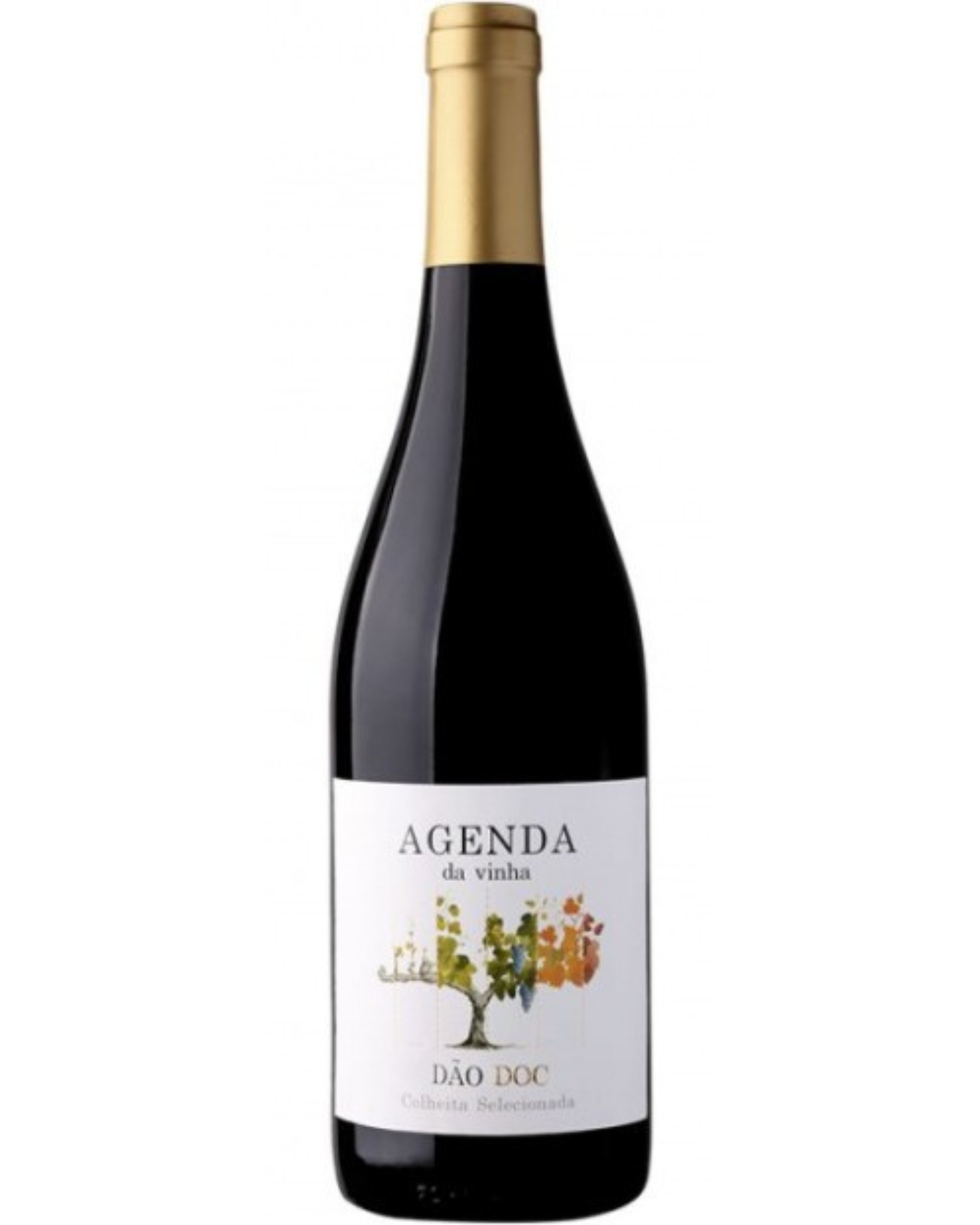 Dão Vineyard Agenda DOC Red Wine 1.5L