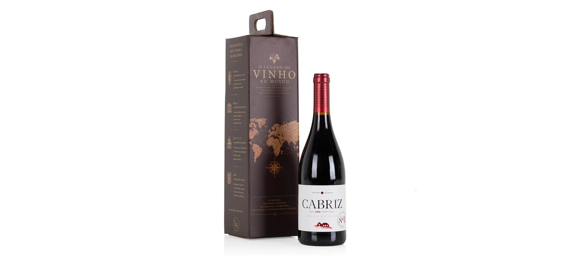 Wine Cellar 19