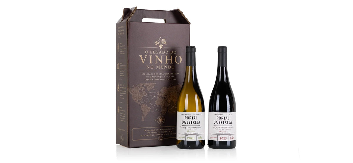 Wine Cellar 20