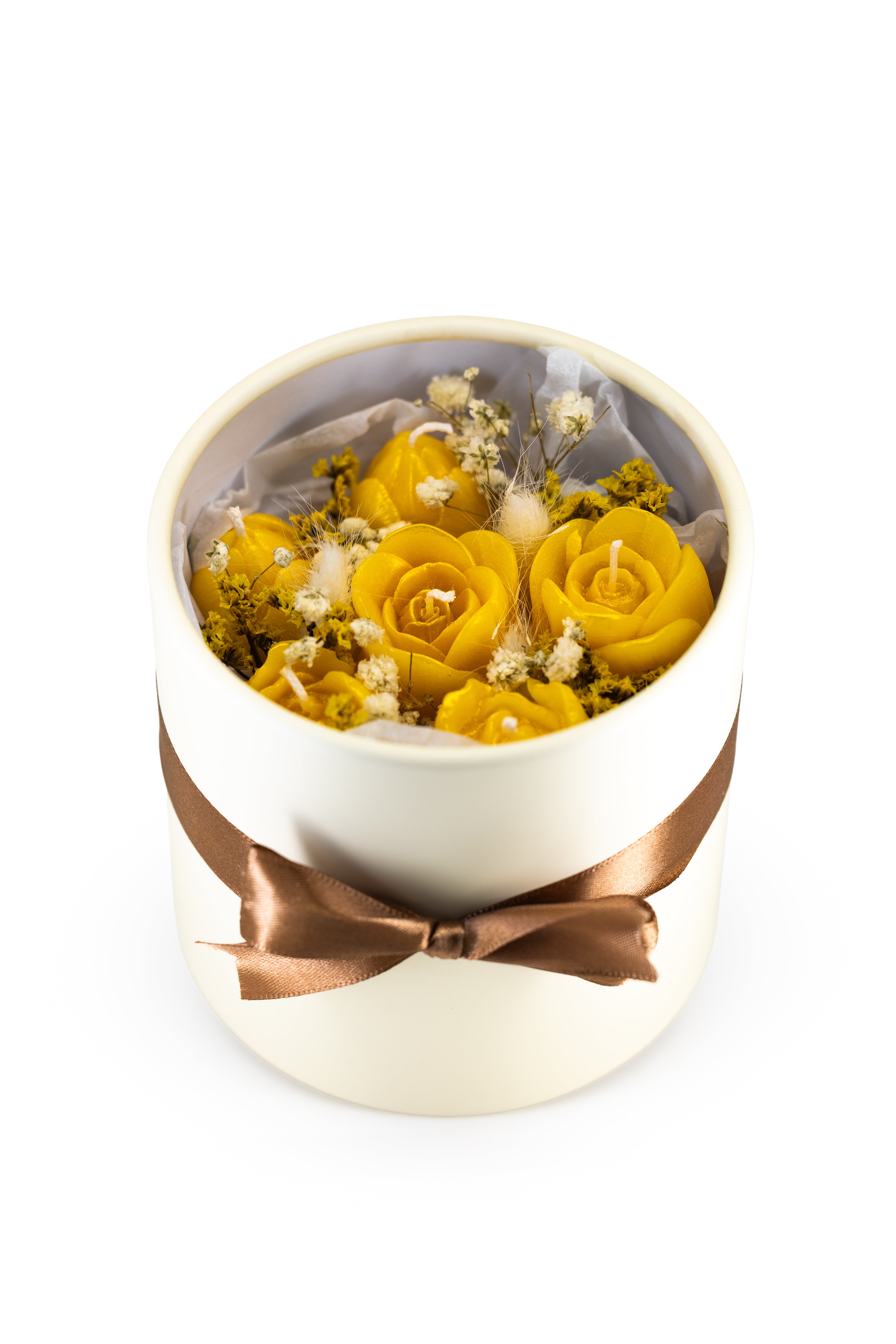 Box Tulipa