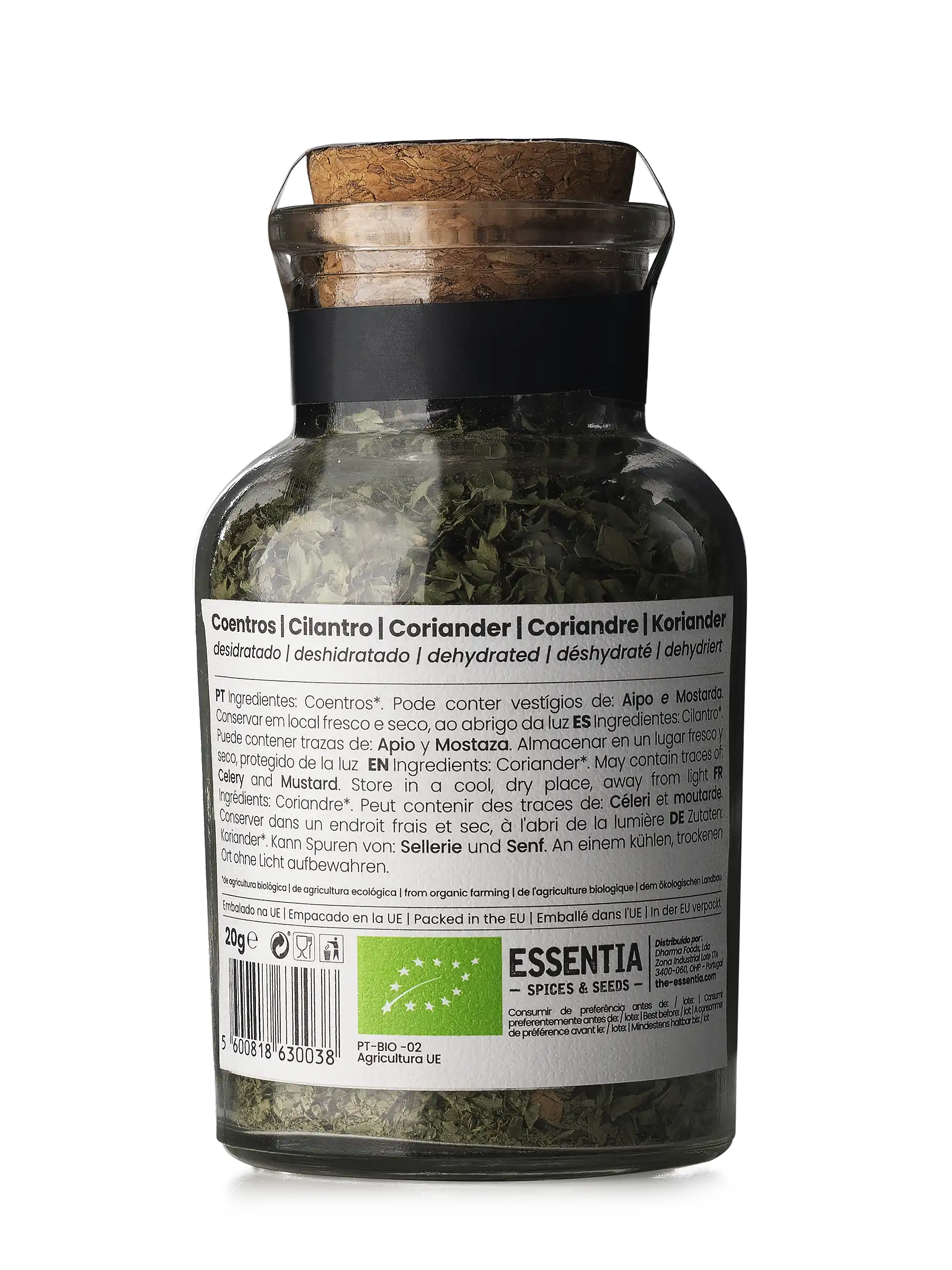Coriander